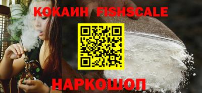 гашик Аргун