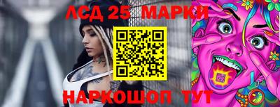 гашик Аргун