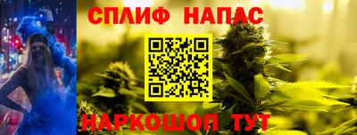 гашик Аргун